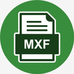 MXFファイル