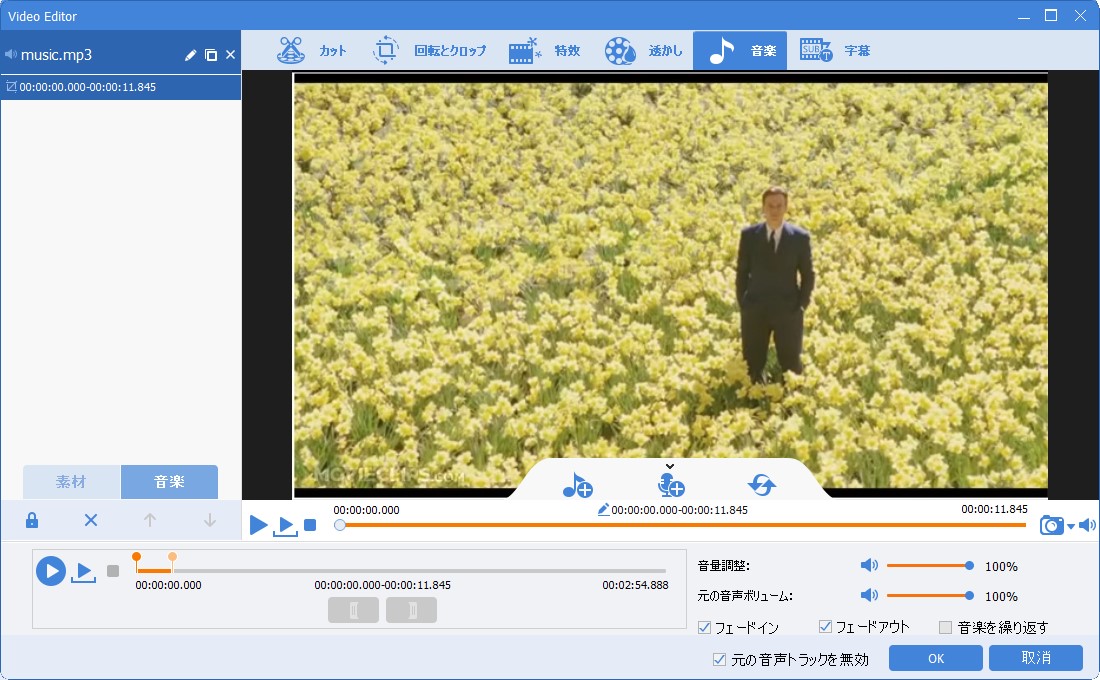 Renee Video Editor Proに声道で「無し」を