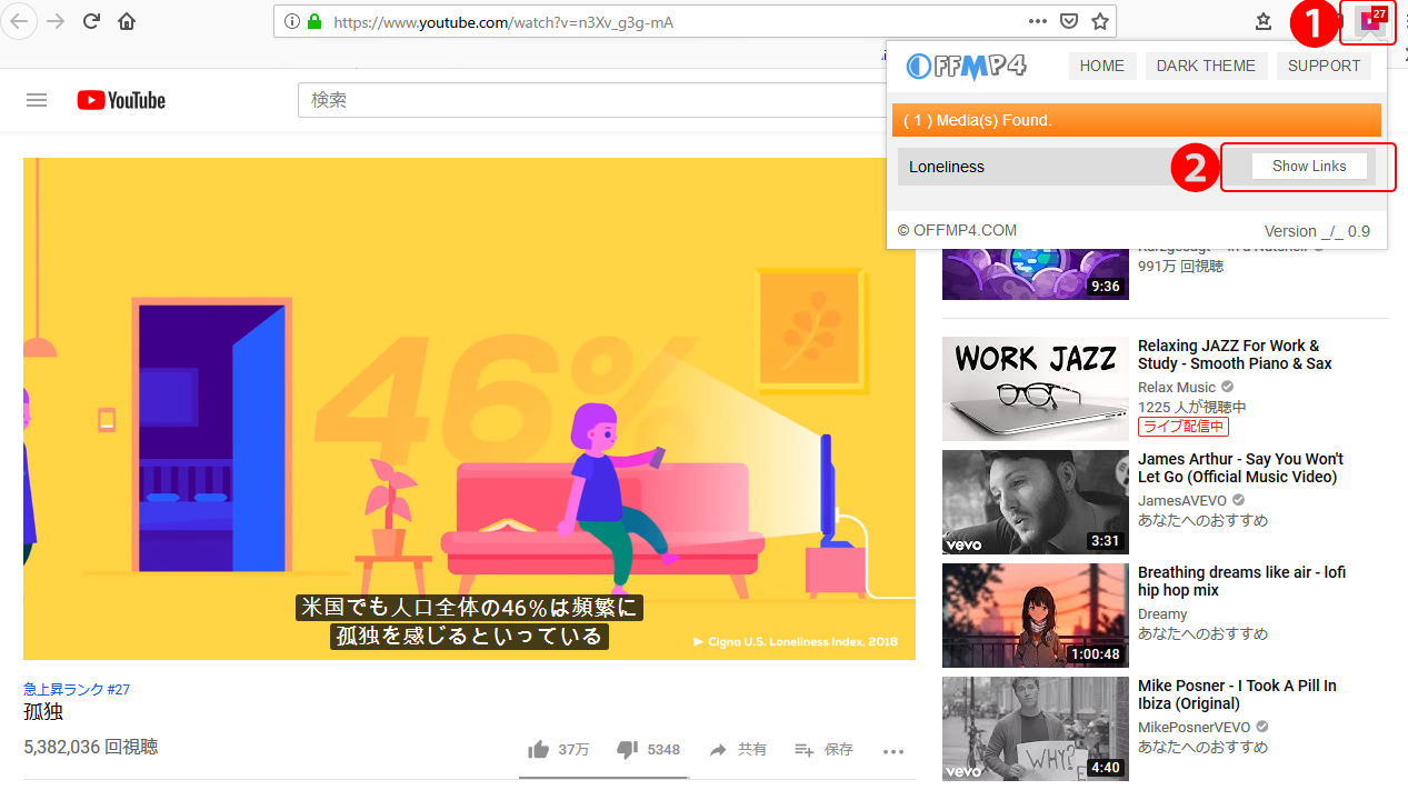 OFFMP4の「Show Links」