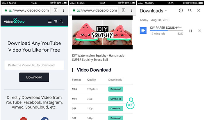 VideoSolo Online Video Downloaderツールで動画を保存する