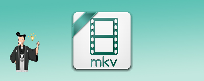 MKVファイルに手軽に字幕を追加する方法